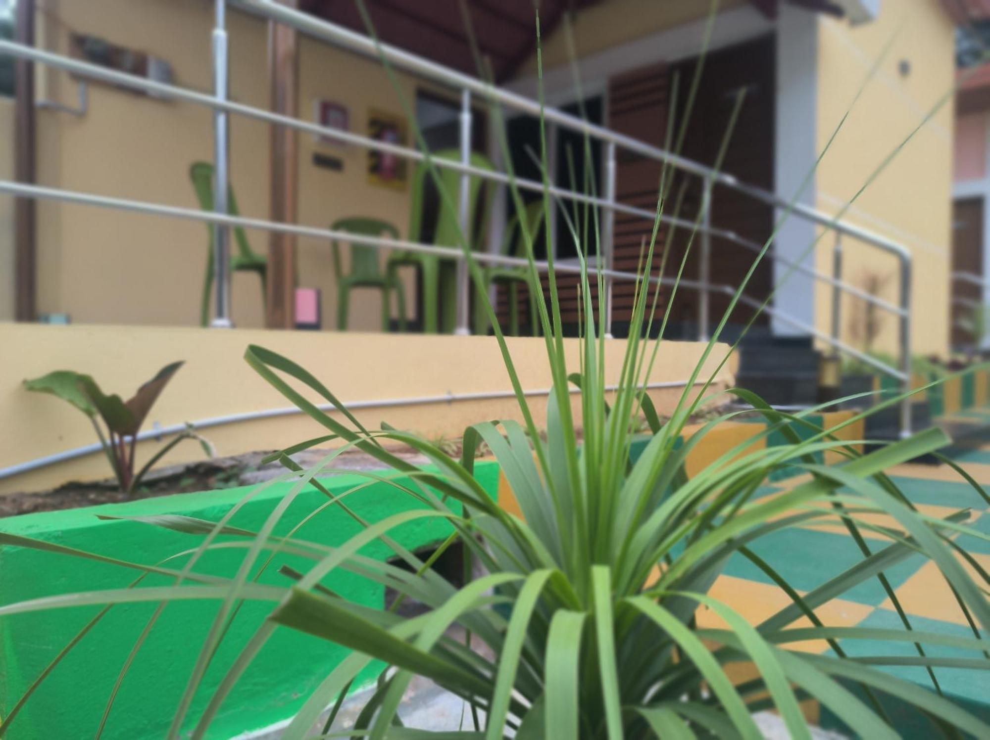 Kanna Garden By Bodhi Bungalows Kolli Hills Exterior photo